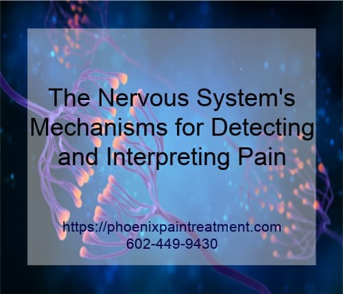 Graphic stating The Nervous Systems Mechanisms for Detecting and Interpreting Pain